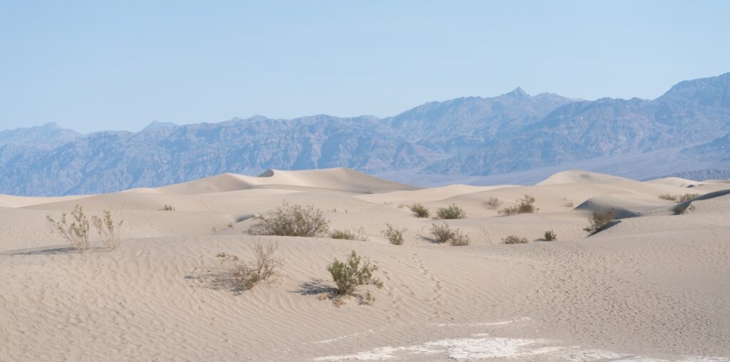 a desert landscape with mountains in the background