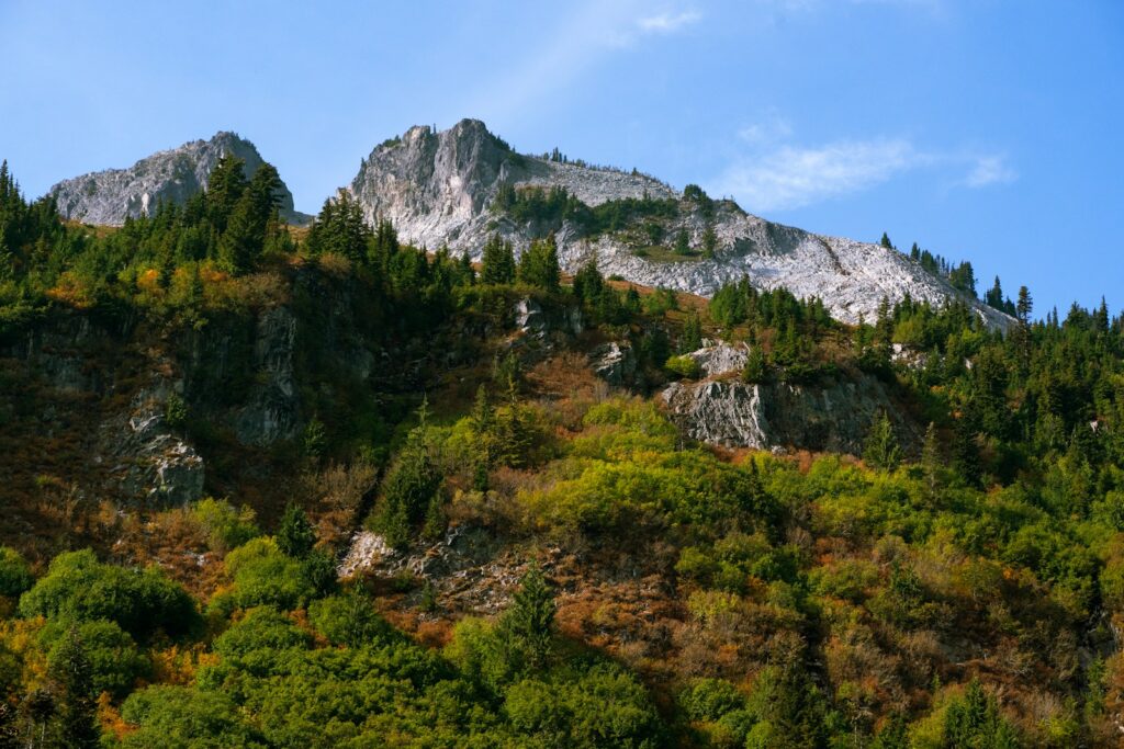 A mountain covered in trees under a blue sky