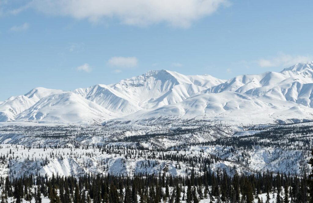 Breathtaking view of snow-covered Alaskan mountains with evergreen trees during winter.