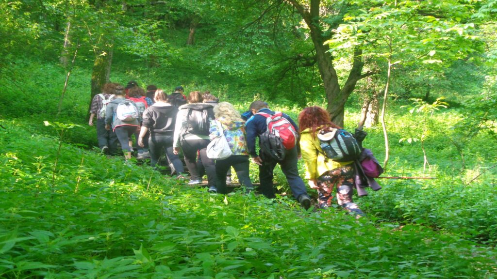 A diverse group of people walking together on a winding path through a lush green forest.