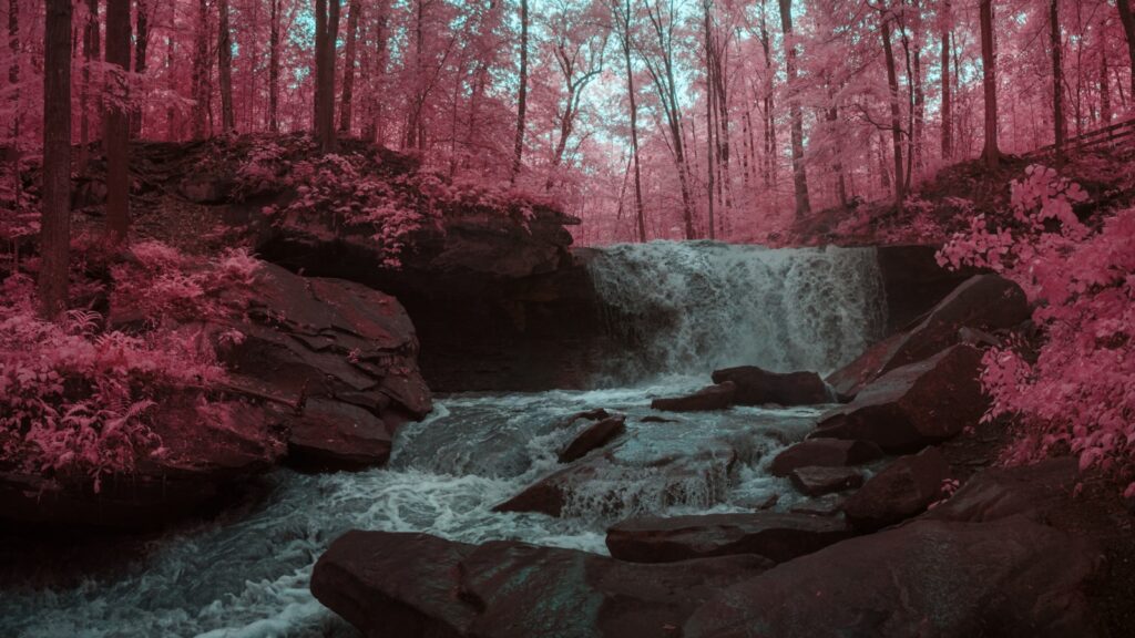 a waterfall in the middle of a forest