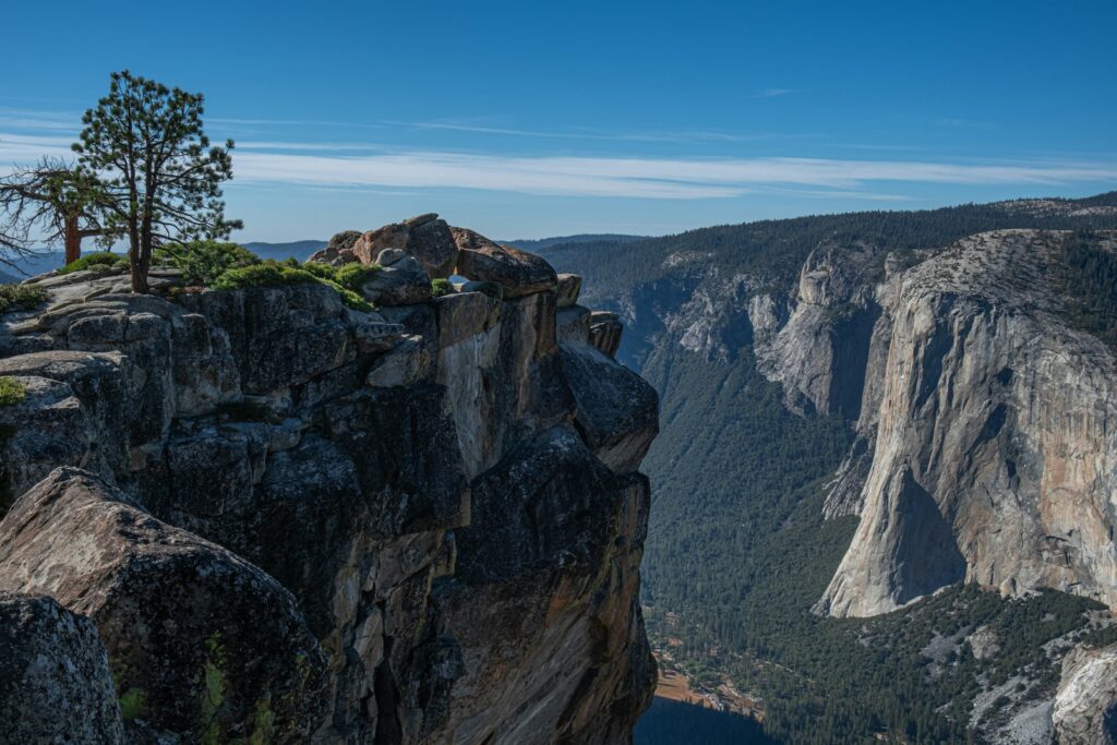 A man standing on top of a mountain next to a tree
