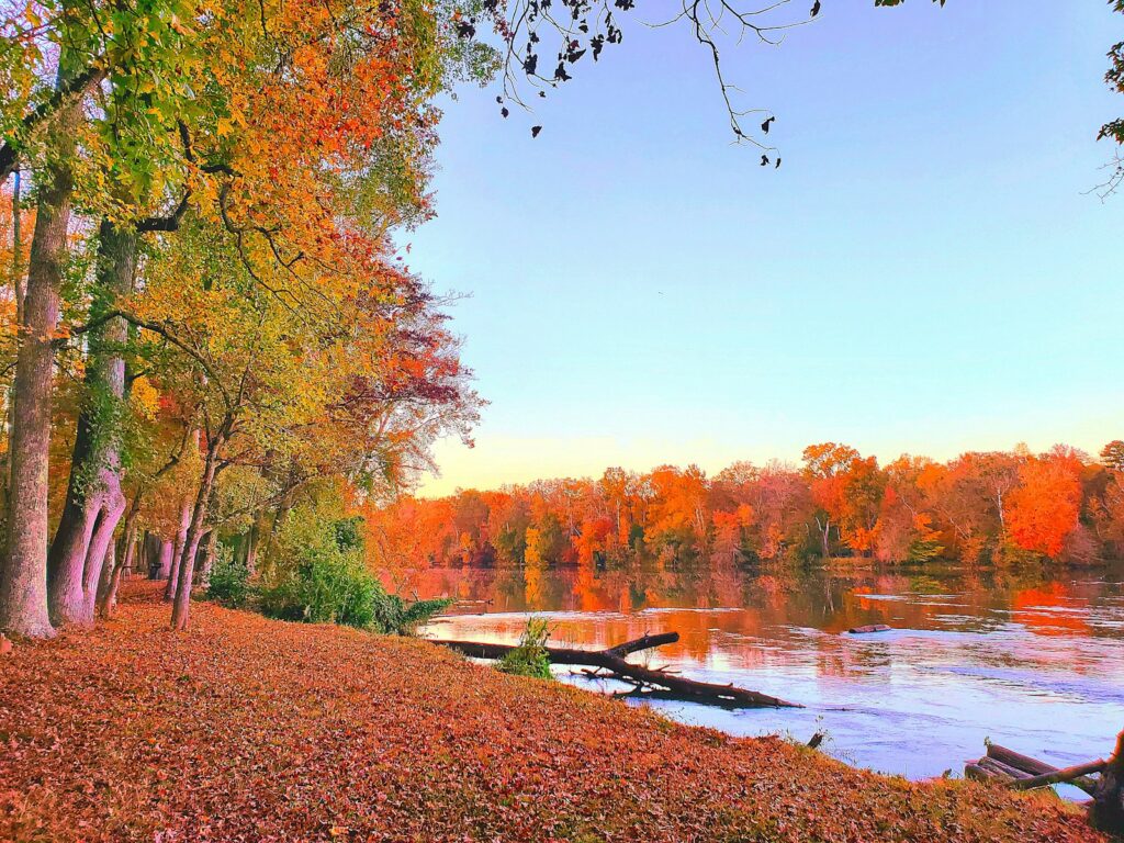 a lake surrounded by lots of trees in the fall