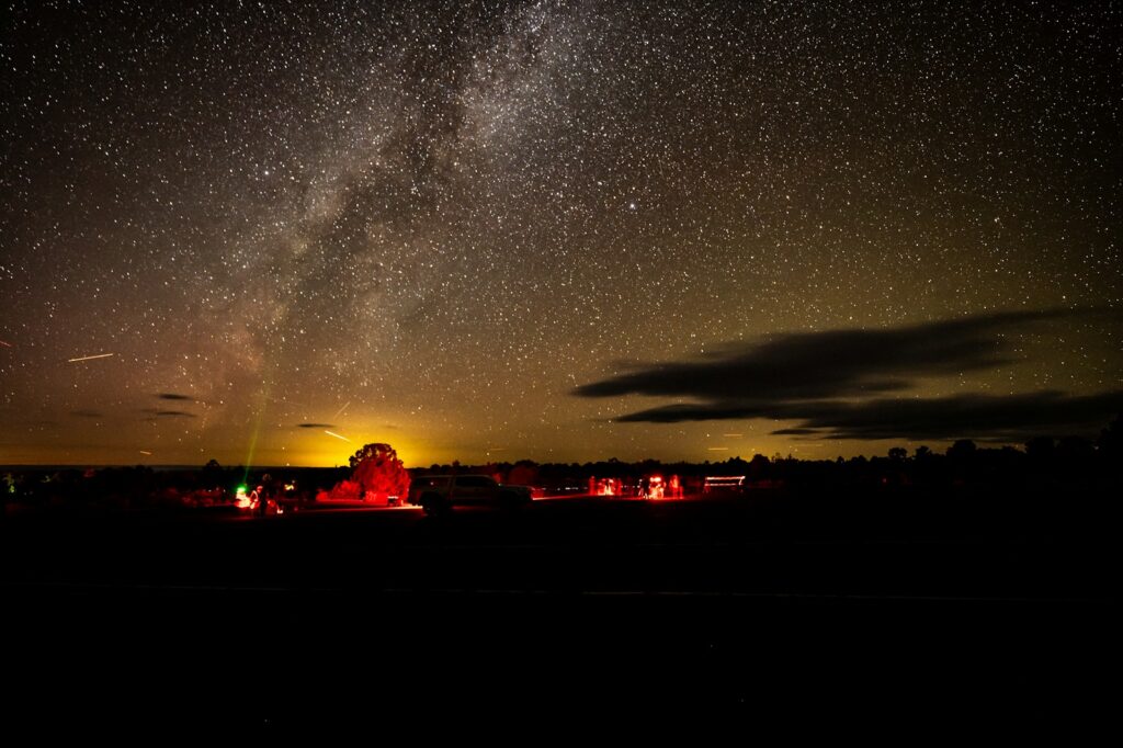 The night sky is filled with stars above a field