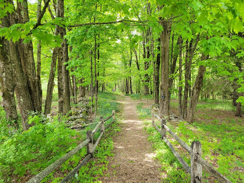 Wildlife Sanctuary Trail.
