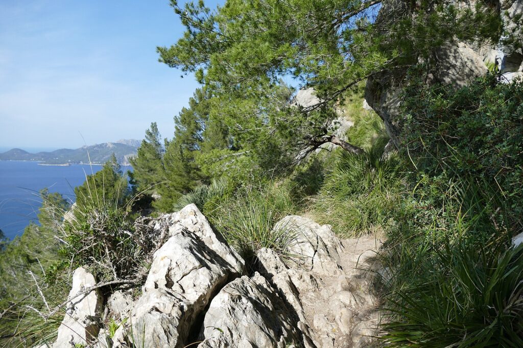 A scenic mountain path curves along the hillside, offering views of the surrounding landscape and a bright, sunny sky.