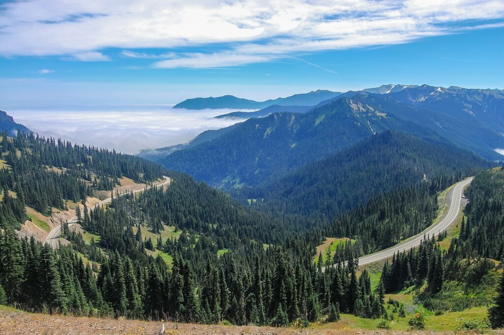 Overlooking the road winding its way from Port Angeles to Hurricane Ridge.