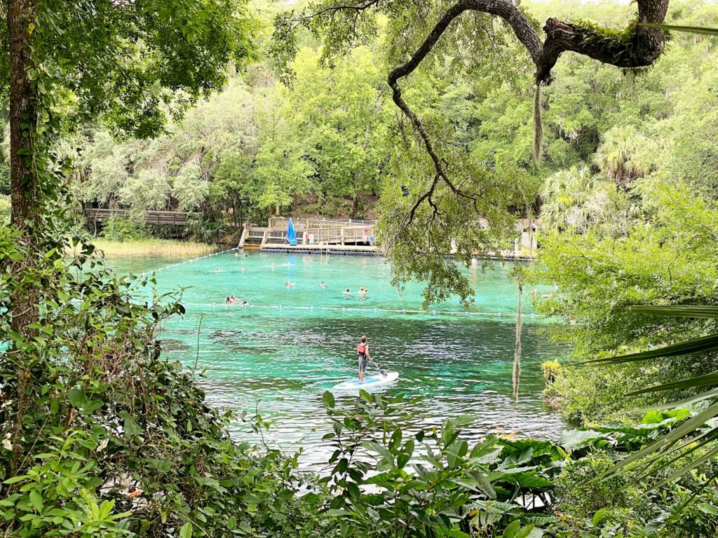 woman in white bikini in water