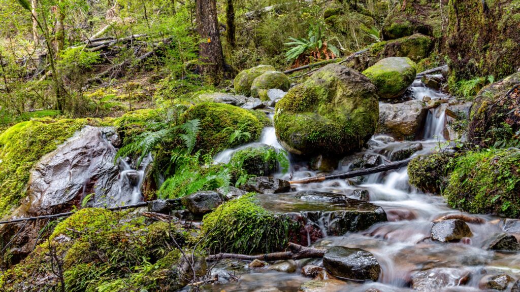 A gentle stream winds through a verdant forest, with smooth mossy rocks lining its banks, enhancing the natural beauty.