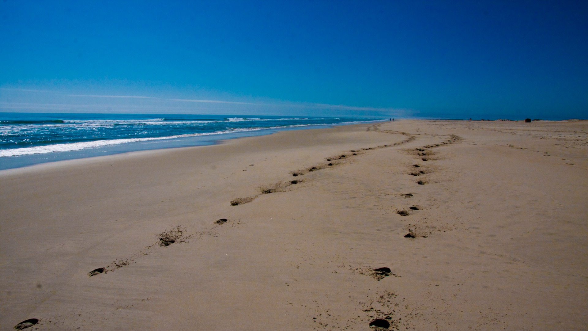A solitary figure walks on the beach, creating footprints in the smooth sand, with gentle waves lapping at the shore.