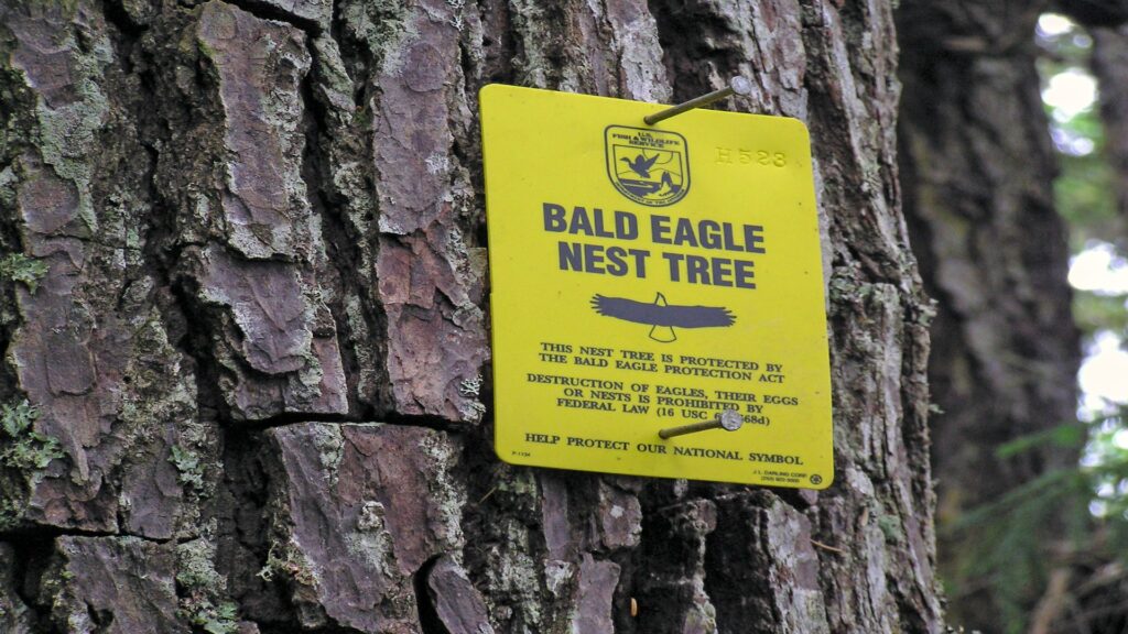 A yellow warning sign affixed to a tree, indicating a cautionary message for nearby individuals.