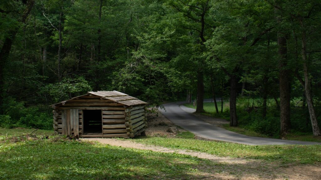 A charming wooden cabin with a simple design, set against a backdrop of lush trees and a clear blue sky.