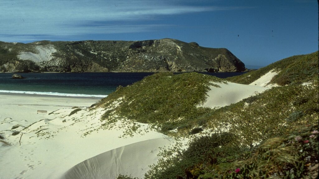 A serene sandy beach with gentle waves lapping at the shore, framed by a tranquil body of water in the background.