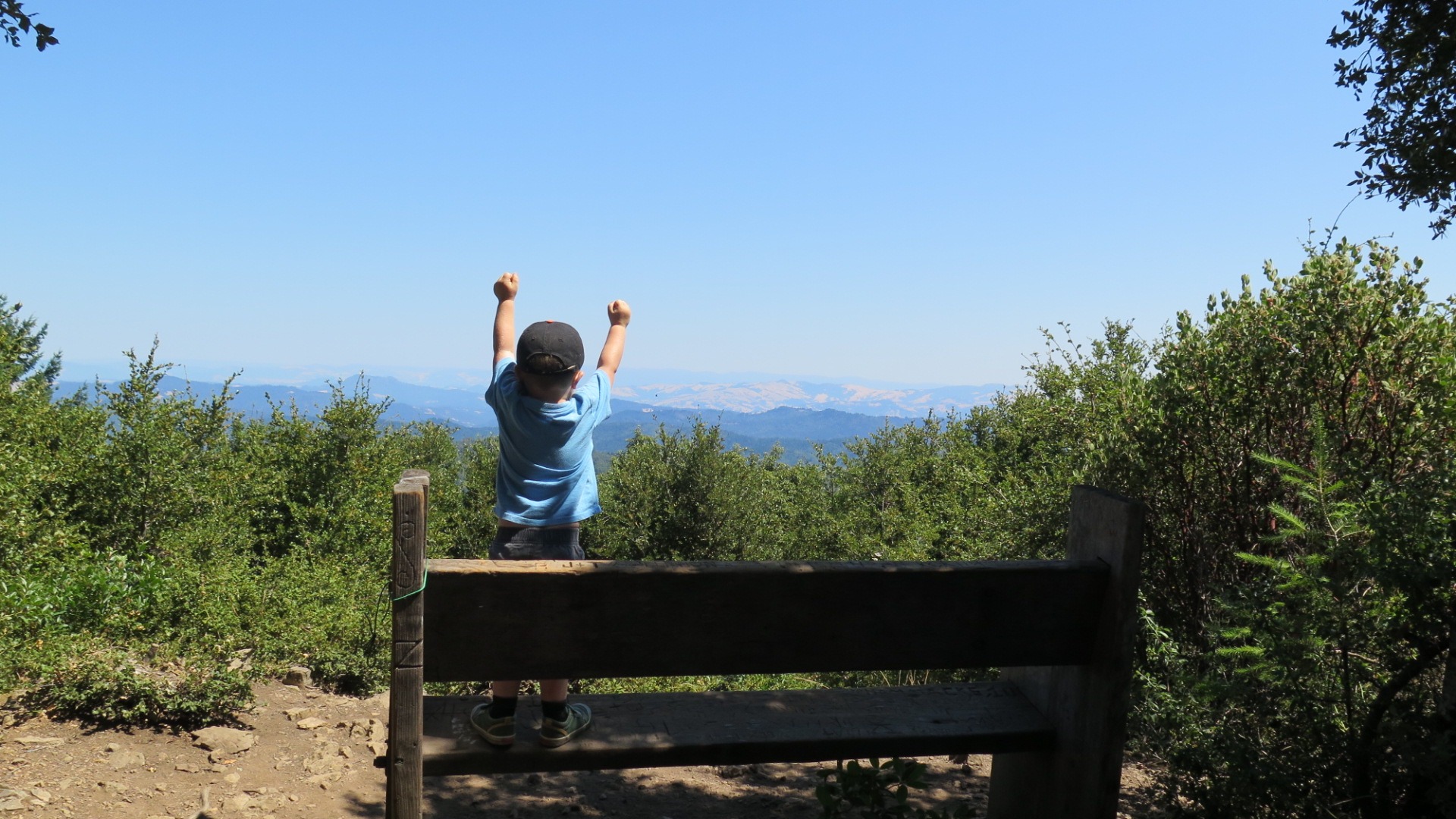 A young boy stands on a bench, demonstrating his playful energy and curiosity in a vibrant outdoor setting.