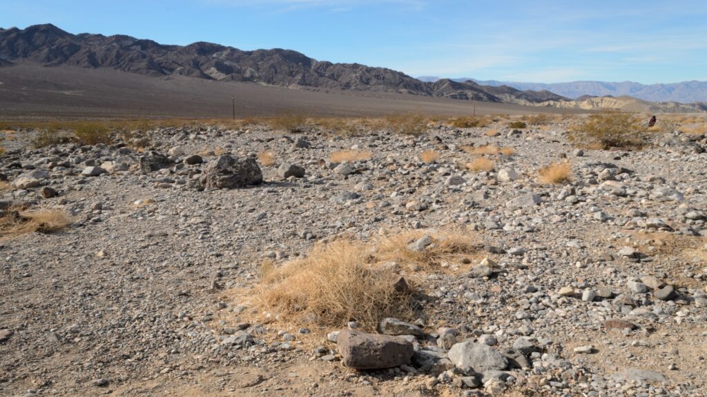 In the heart of Death Valley National Park, a large rock dominates the stark, sandy desert landscape under a clear blue sky.