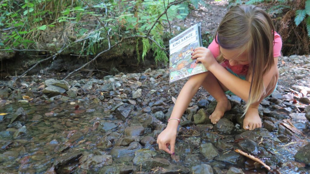 A young girl kneels beside a stream, exploring a book, as the water flows softly around her.