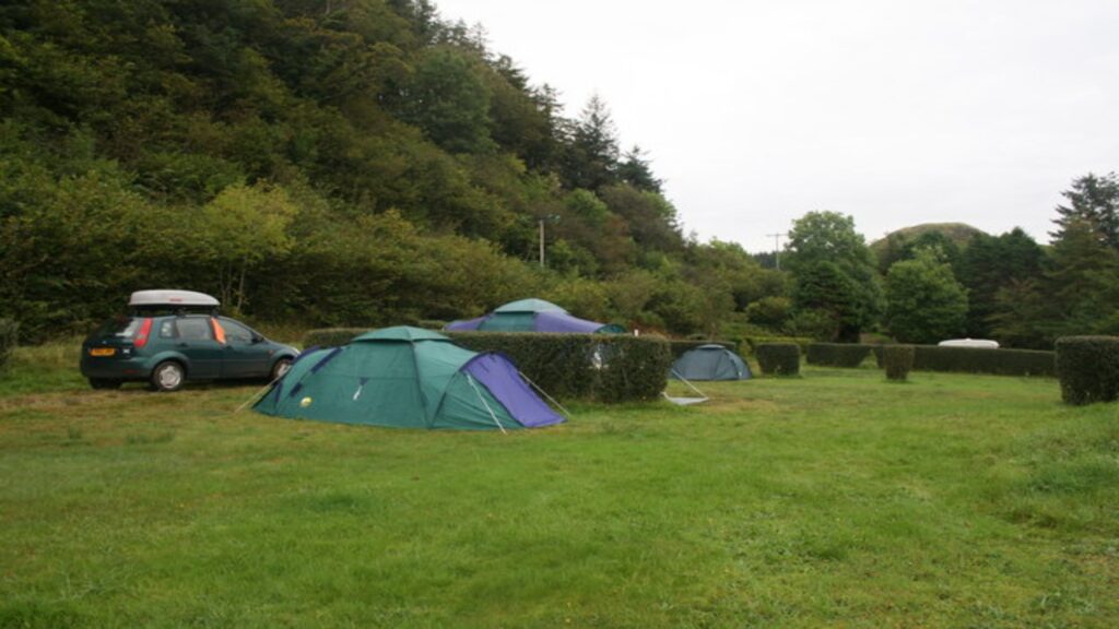 A vibrant field filled with multiple tents and parked cars, framed by a backdrop of tall, leafy trees.