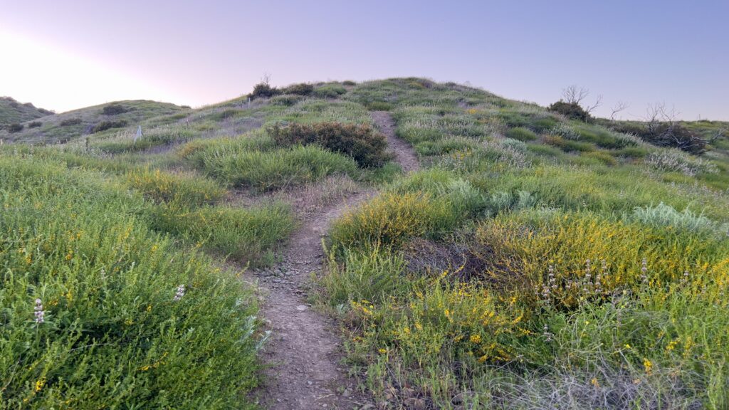 A serene trail meanders across a vibrant green hill, surrounded by soft grass and open space, perfect for walking.