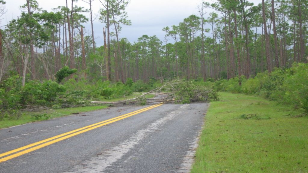 A blocked road featuring fallen trees and a downed power line, highlighting the aftermath of a storm.