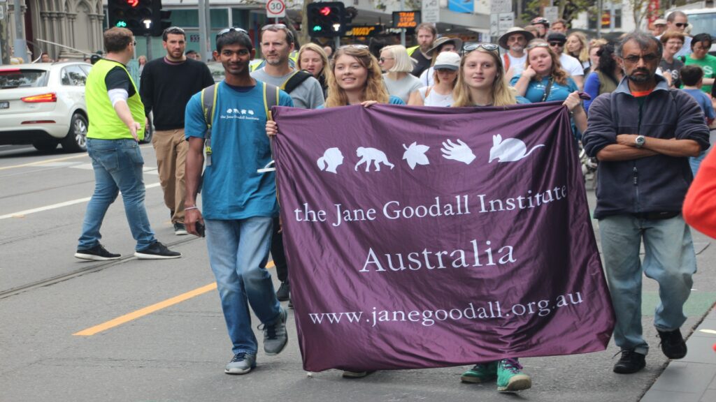 People of various backgrounds walk together on the street, displaying a purple banner that advocates for the Jane Goodall Institute's cause.