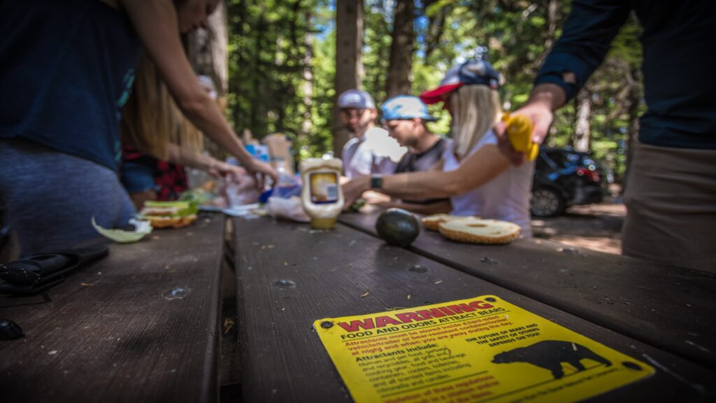 A diverse group of people gathered around a picnic table, with a sign prominently displayed on the table's surface.