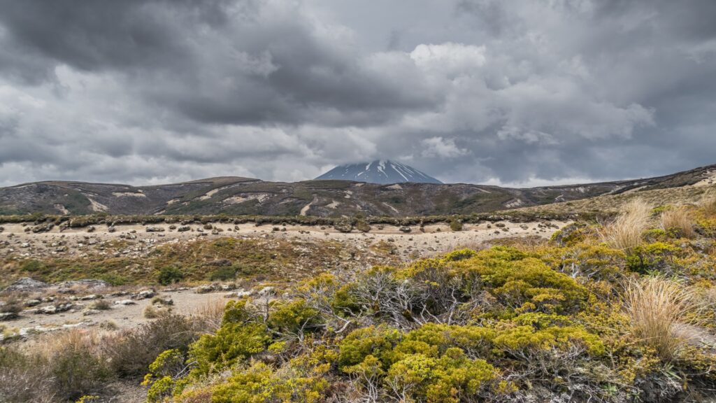 Mount Taranaki stands tall in New Zealand, framed by the diverse ecosystems and volcanic terrain of Tongariro National Park.