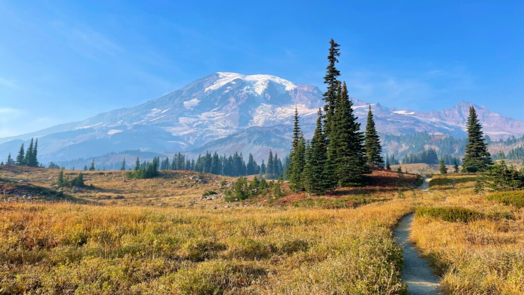 A scenic trail surrounded by towering trees leads to the impressive Mount Rainier, highlighting the park's breathtaking landscape.