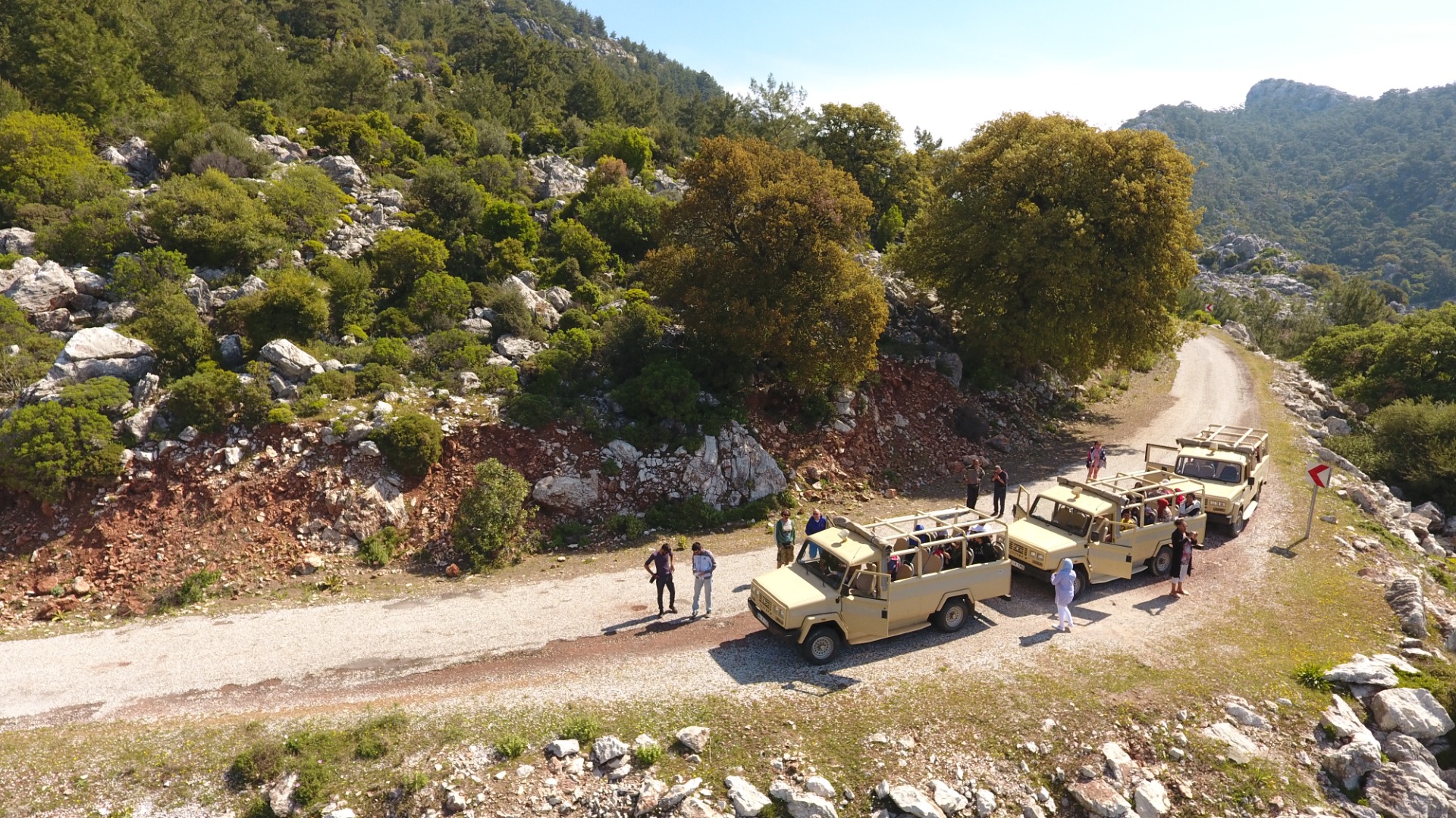 A group of people walking along a road with a scenic mountain backdrop, enjoying the outdoors together.