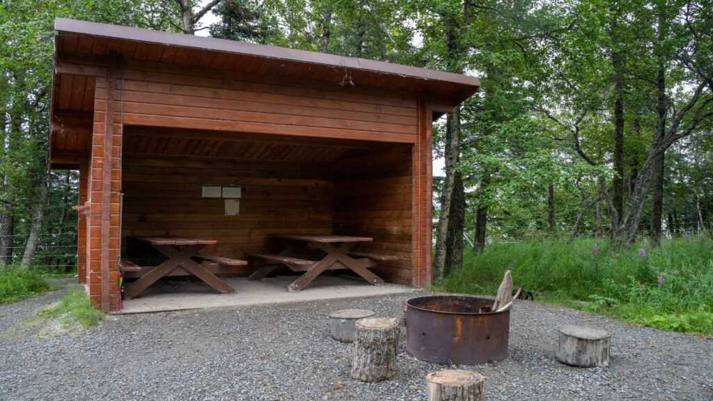 A rustic wooden shelter surrounded by trees, providing a cozy retreat in nature.