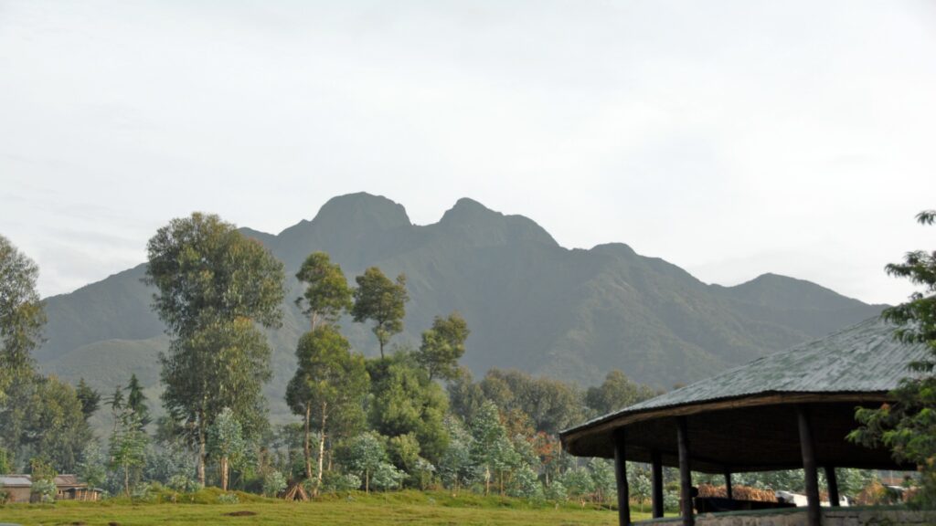 A majestic mountain towers in the background, showcasing the stunning landscape of Parc National des Volcans.