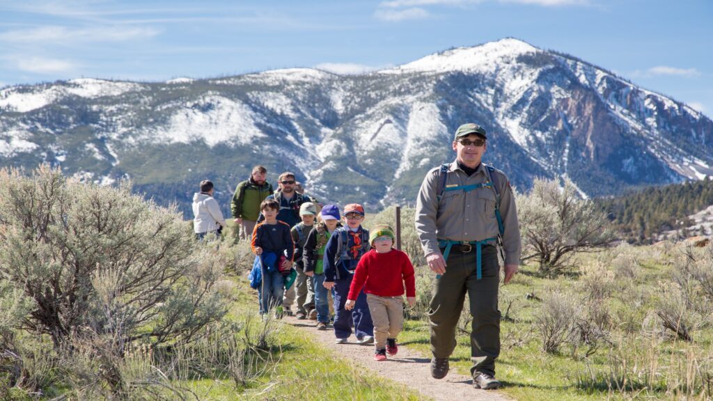 People of various ages strolling on a trail, with sunlight filtering through the trees above.