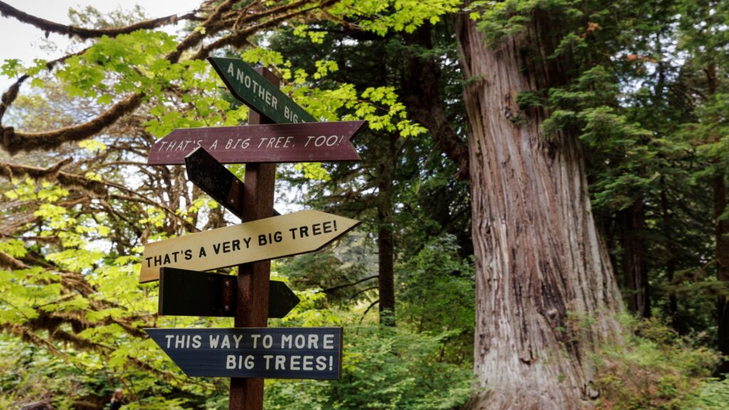 A wooden signpost in a lush forest, indicating various trails in Redwood National Park, surrounded by towering trees.