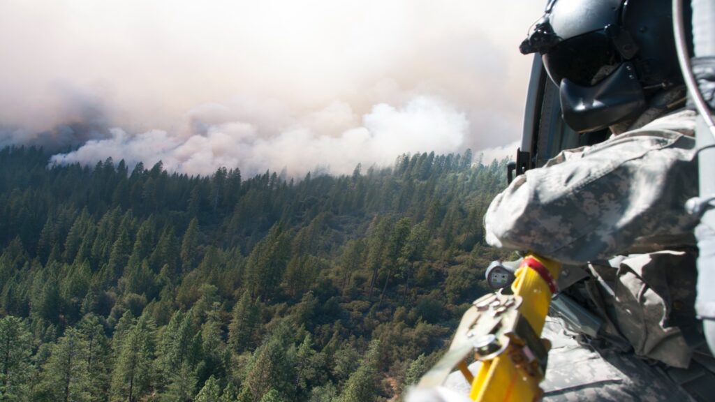 Inside a helicopter, a man looks out over a sprawling forest, surrounded by vibrant greenery and treetops.