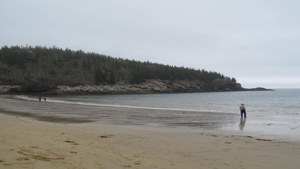 A visitor enjoys the serene beach at Acadia National Park, with gentle waves lapping at the shore under a clear sky.