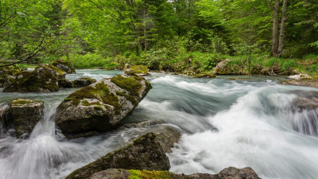 A serene river flows through a lush forest, surrounded by rocks and trees, evoking a peaceful natural setting.