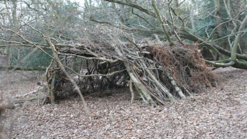 A natural shelter built from intertwined sticks and branches, surrounded by lush greenery in a tranquil forest.