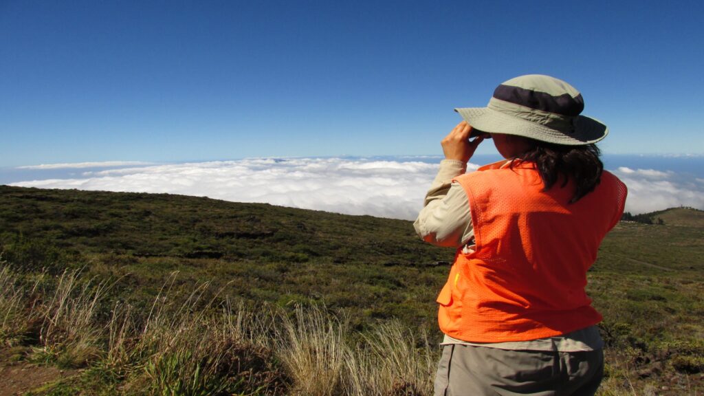 A person in a hat uses binoculars to scan the horizon, showcasing curiosity and engagement with their surroundings.
