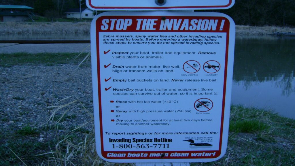 A sign reading "stop the invasion," highlighting a strong stance against perceived threats or changes.