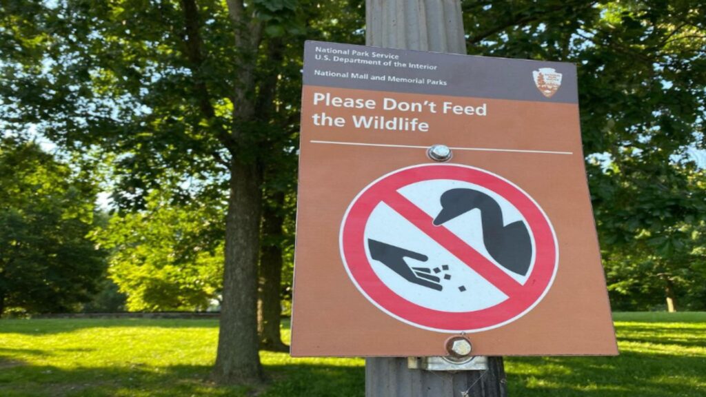 A warning sign that reads "Please don't feed the wildlife," emphasizing the importance of preserving animal behavior.