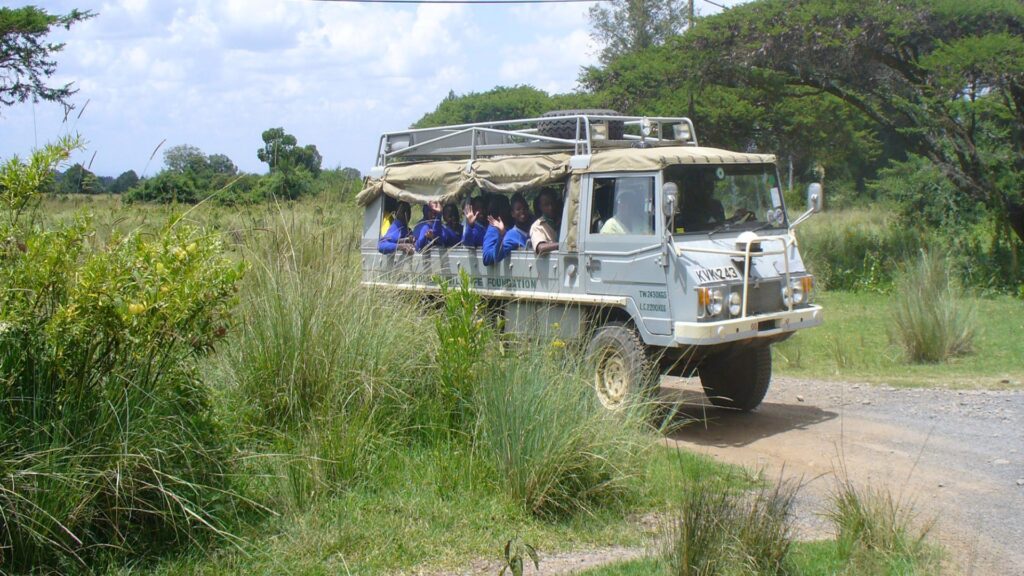 A diverse group of people joyfully riding together in the back of a pickup truck on a sunny day.