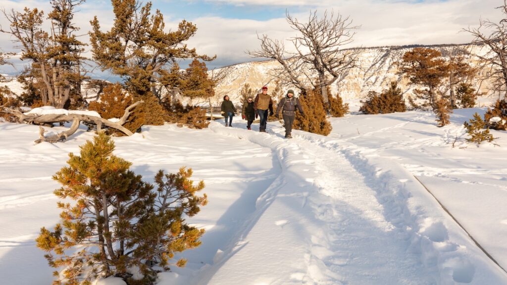 A cheerful group of people navigating a snowy trail, their footprints marking the untouched snow beneath them.