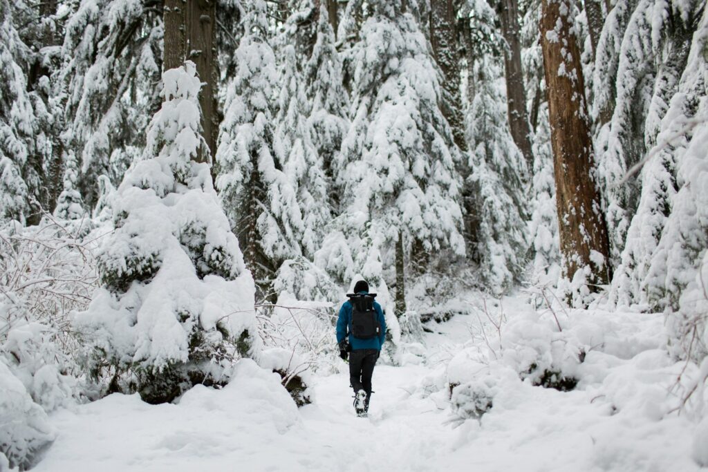 Person walking on snow surrounded by trees.