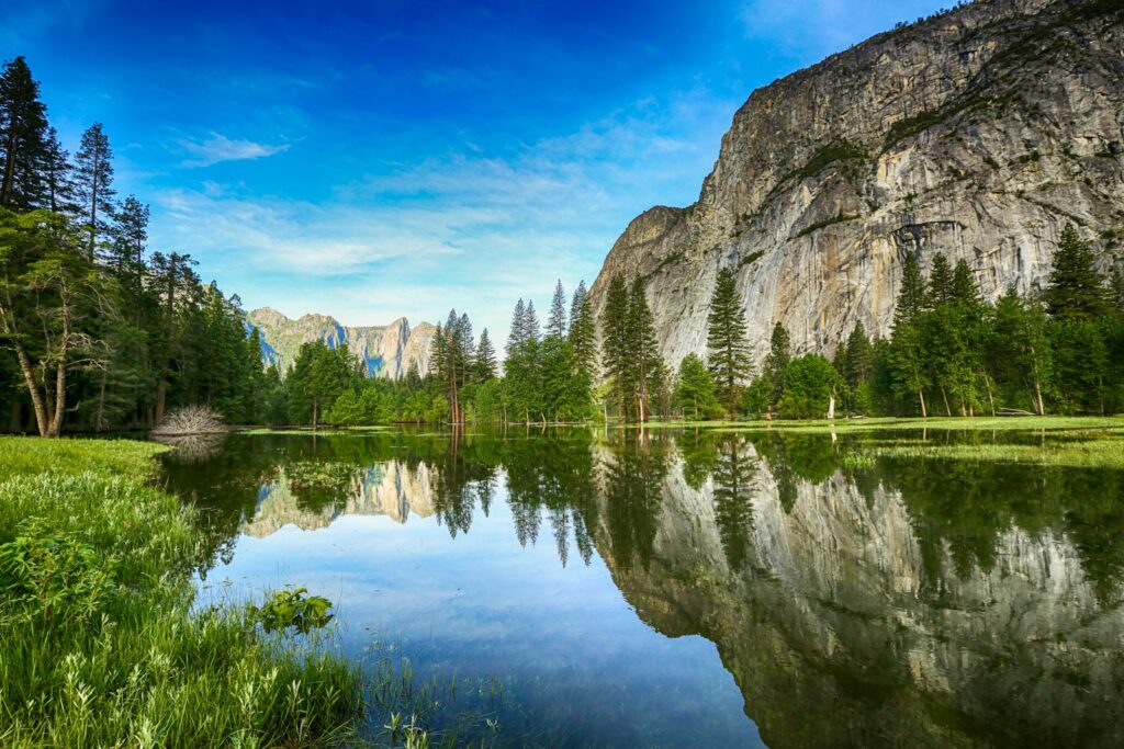 Body of water across trees and mountain