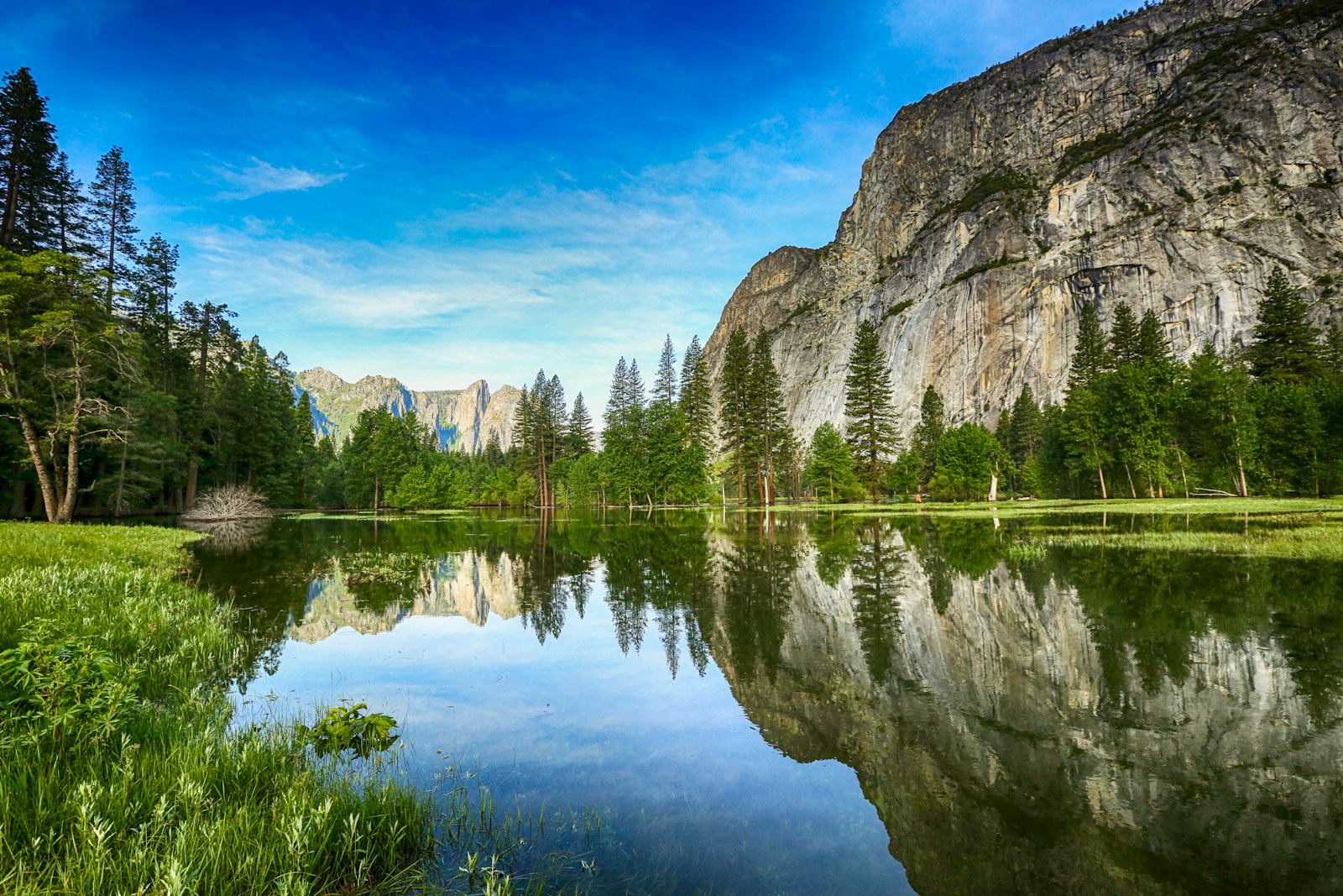 body of water across trees and mountain