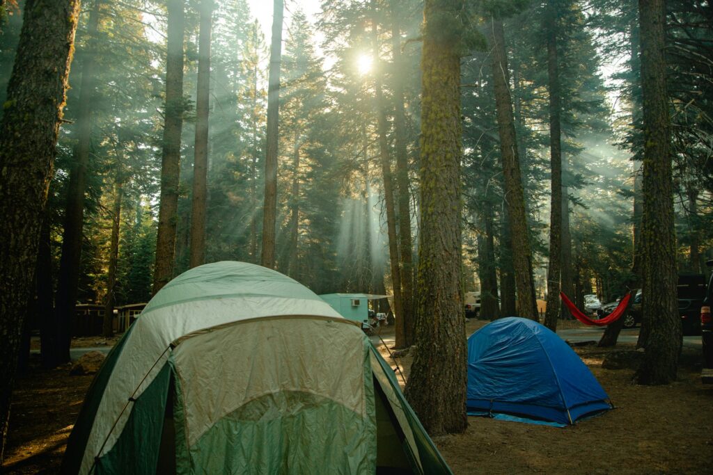 A serene campsite featuring a tent surrounded by trees, with a hammock invitingly hung nearby for relaxation.