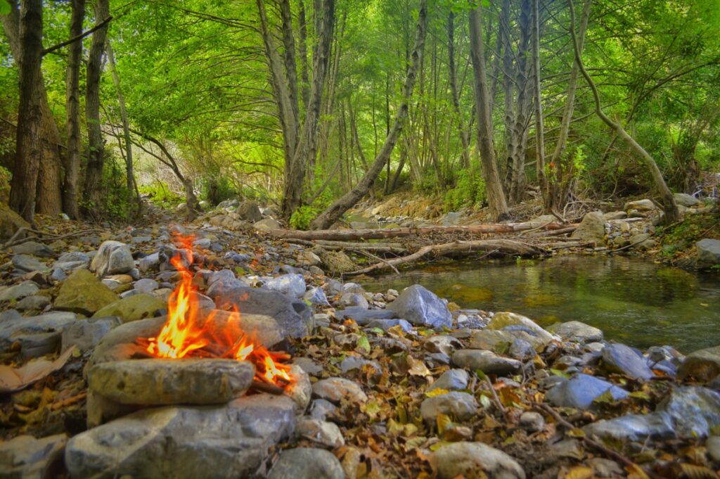 A glowing campfire surrounded by trees, casting warm light on the forest floor in a serene woodland setting.