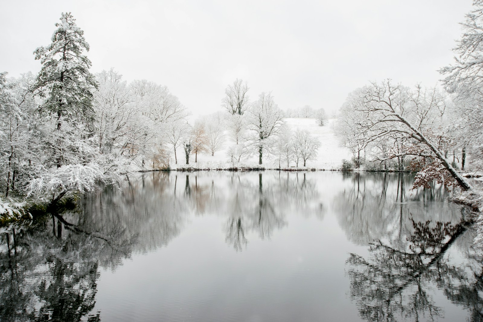 Body of water surrounded by trees.