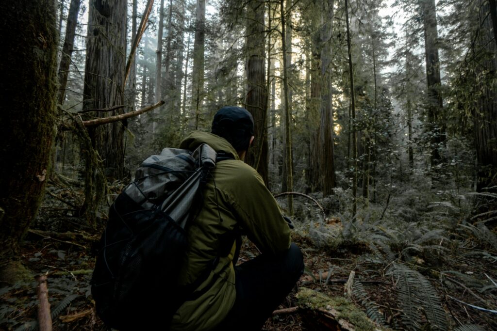 In a tranquil forest, a man with a backpack sits quietly on a log, immersed in the beauty of nature around him.
