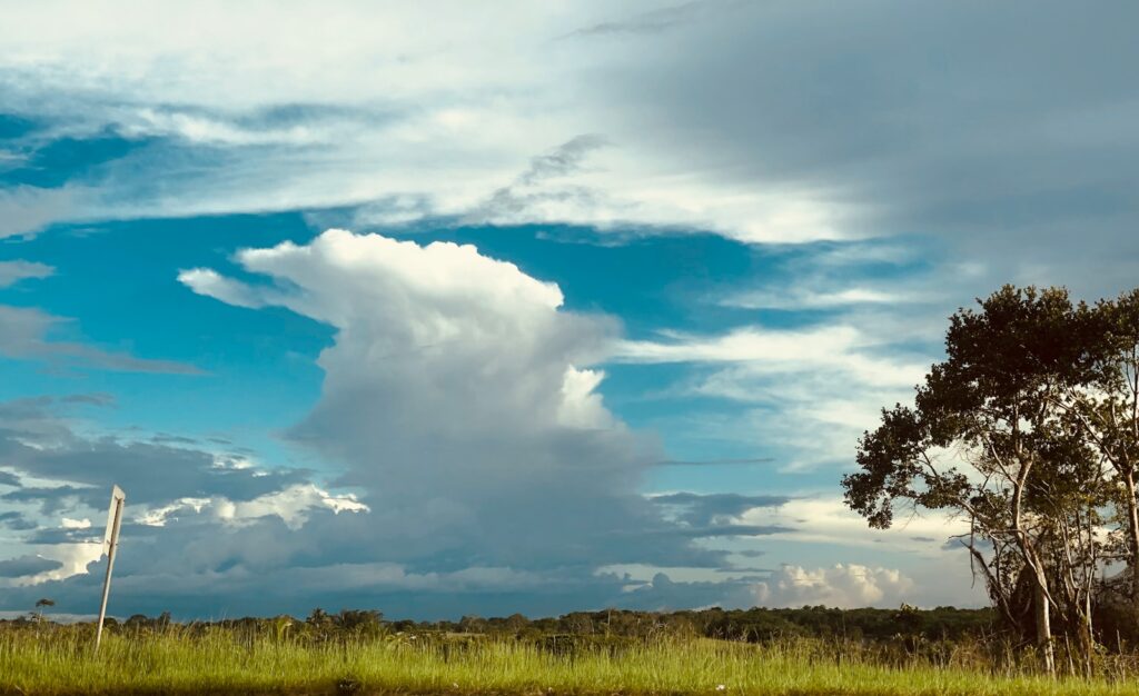 green grass field under blue sky and white clouds during daytime