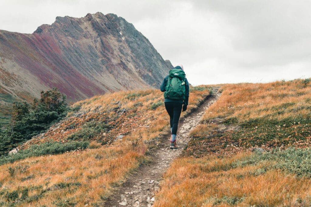 Person in green jacket walking on dirt road during daytime.